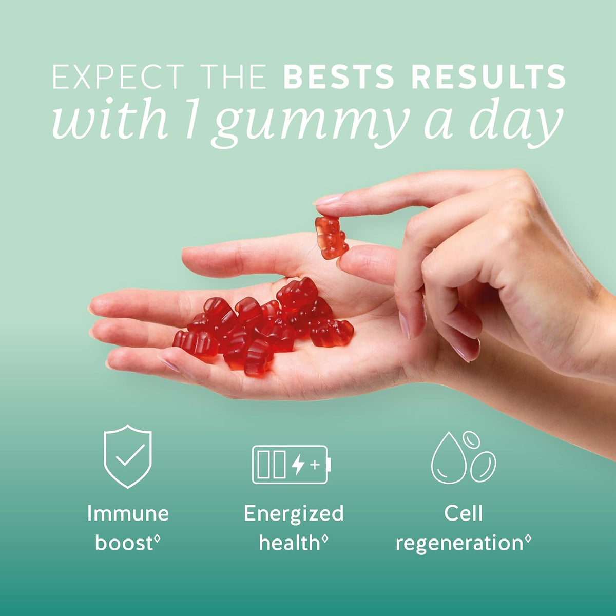 Bears with Benefits Immune Support